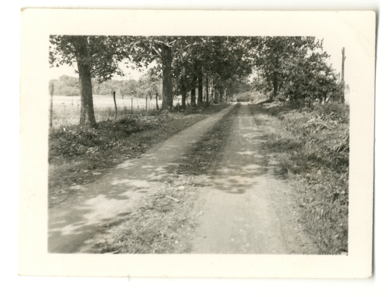 Photograph of a dirt road on the Mudge farm in Grantfork