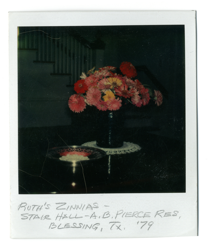 Photograph of flowers in a stair hall in 1979