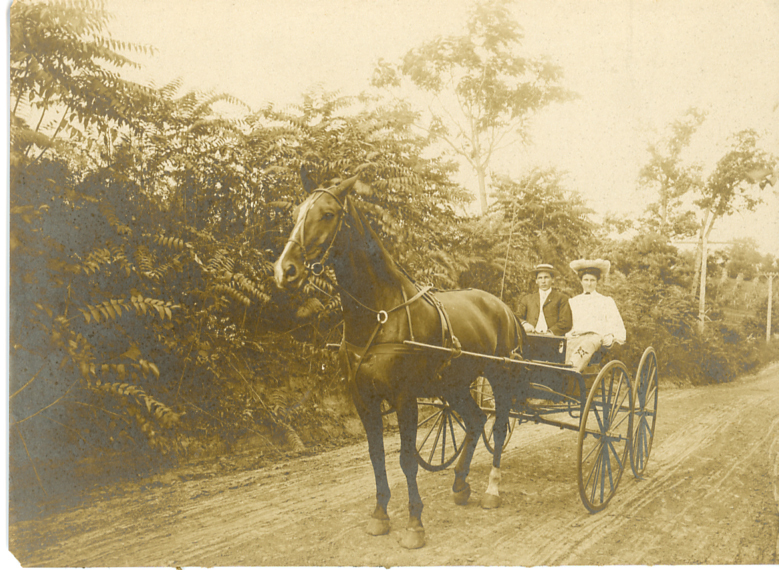 A Horse and Buggy 