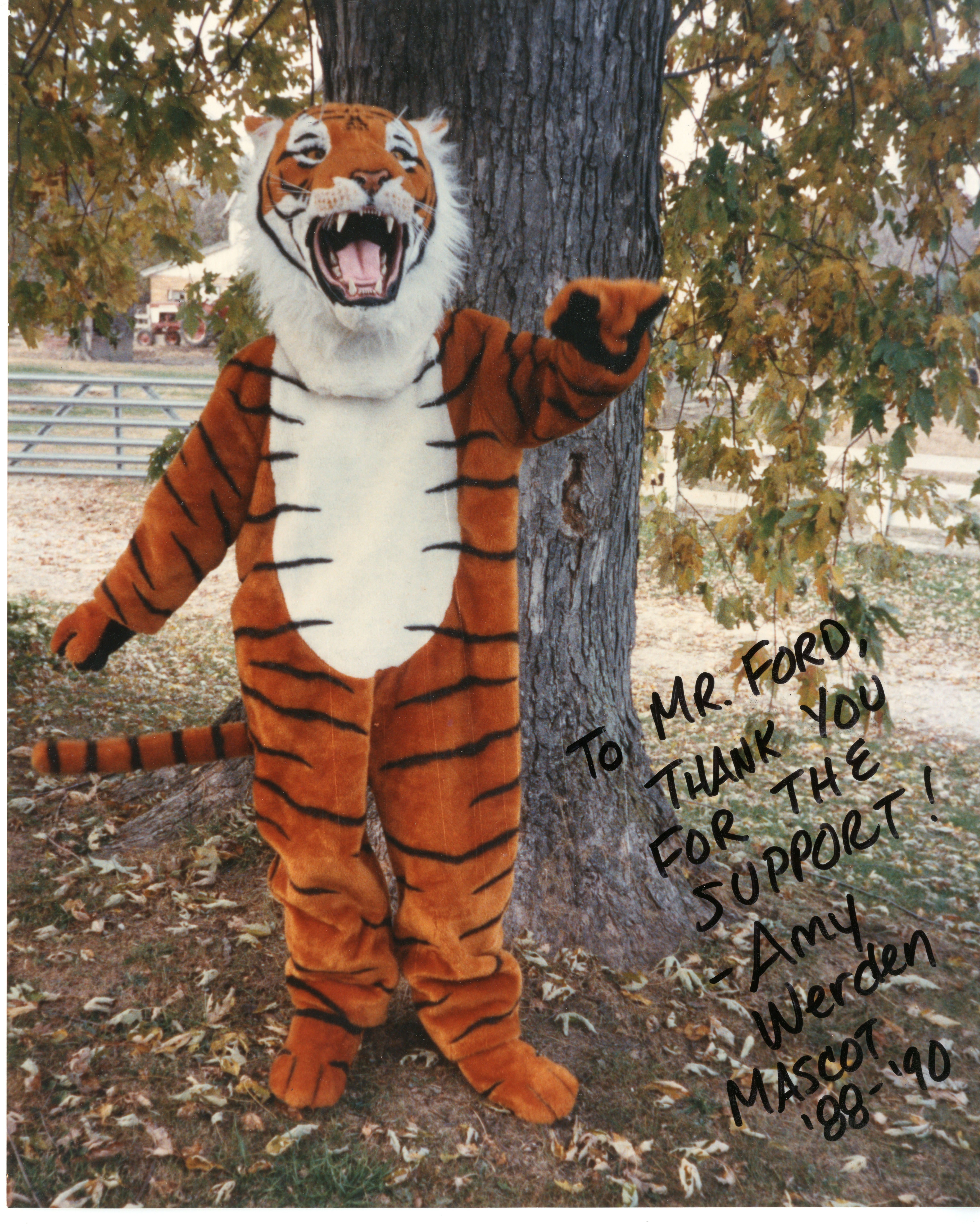Edwardsville High School Tiger Mascot 1989-1990 – Madison Historical