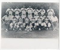 Collinsville Indians Men&#039;s Baseball Team