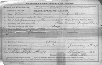 1878 Death Certificate for Gillian Austermell